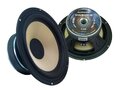 Alphard  DW80K2 4OHM