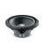 FOCAL SUB10DUAL Сабвуфер