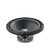 FOCAL SUB12DUAL Сабвуфер